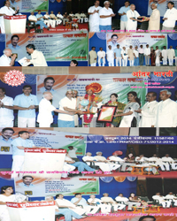 magzine_sbconsultancy